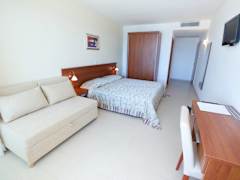 Zimmerbild 8