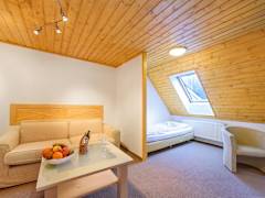 Zimmerbild 11