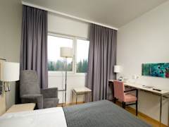 Zimmerbild 6