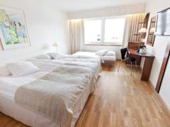 Zimmerbild 17