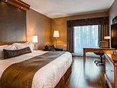 Zimmerbild 2