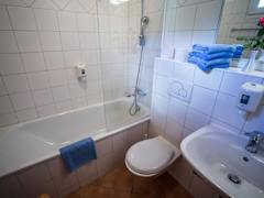 Zimmerbild 4