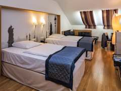Zimmerbild 7