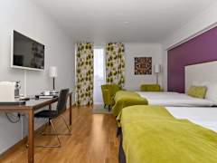 Zimmerbild 6