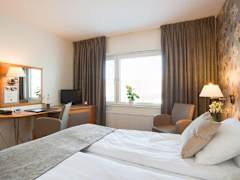Zimmerbild 2