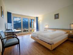 Zimmerbild 1