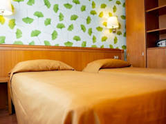 Zimmerbild 3