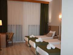 Zimmerbild 1