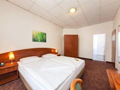 Zimmerbild 1