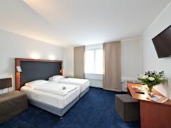 Zimmerbild 6