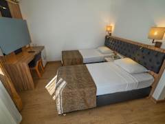 Zimmerbild 3