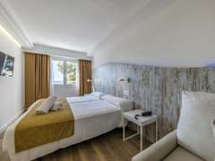 Zimmerbild 8