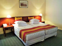 Zimmerbild 6