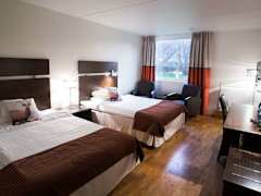 Zimmerbild 2