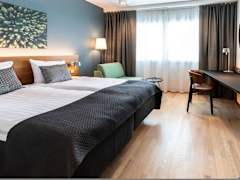 Zimmerbild 8