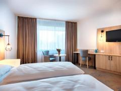 Zimmerbild 6