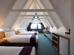 Zimmerbild 3