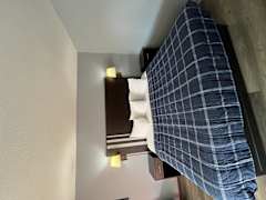 Zimmerbild 1
