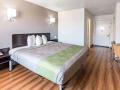 Zimmerbild 3