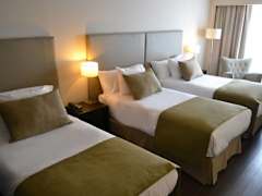 Zimmerbild 6