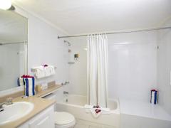Zimmerbild 5
