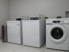 Zimmerbild 8