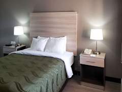 Zimmerbild 12