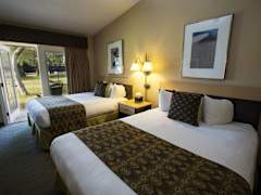 Zimmerbild 3