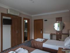 Zimmerbild 11