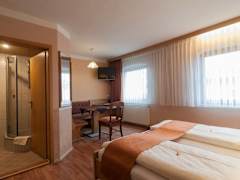 Zimmerbild 9