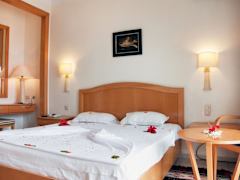 Zimmerbild 5