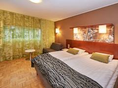 Zimmerbild 4
