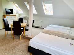 Zimmerbild 17