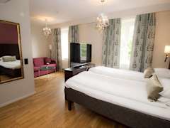 Zimmerbild 10