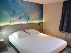 Zimmerbild 11