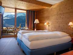 Zimmerbild 3