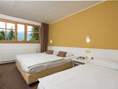 Zimmerbild 4