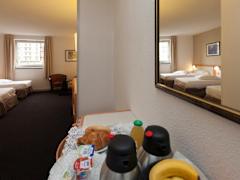 Zimmerbild 8