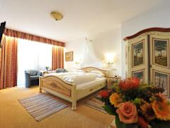 Zimmerbild 8