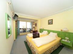 Zimmerbild 8