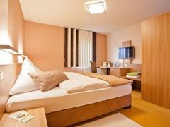 Zimmerbild 4