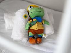 Zimmerbild 6