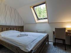 Zimmerbild 5