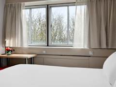 Zimmerbild 16
