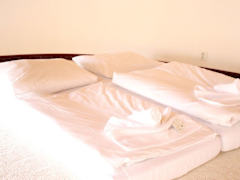 Zimmerbild 8