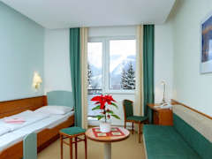 Zimmerbild 9