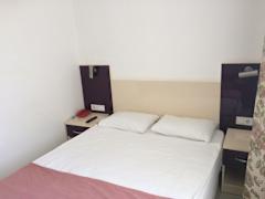 Zimmerbild 5