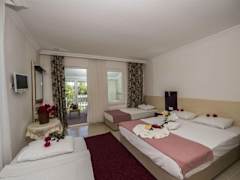Zimmerbild 8