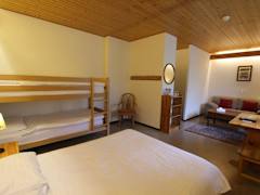 Zimmerbild 6