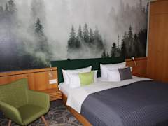 Zimmerbild 3